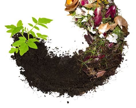 How to Create Compost and Its Benefits