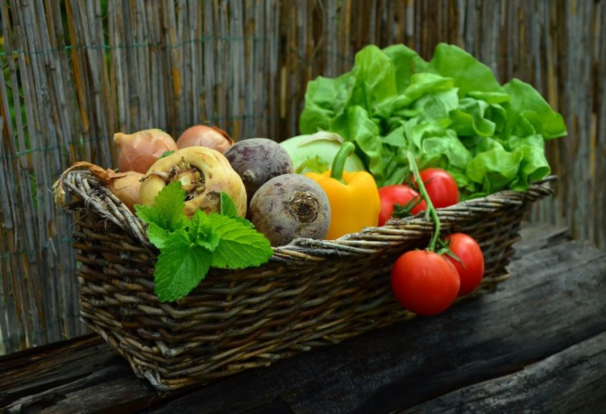 Eating organic could prevent the progression of antibiotic resistance