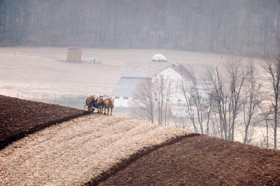 Organic Farming Facts