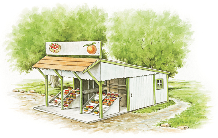 Starting a Roadside Fruit Stand