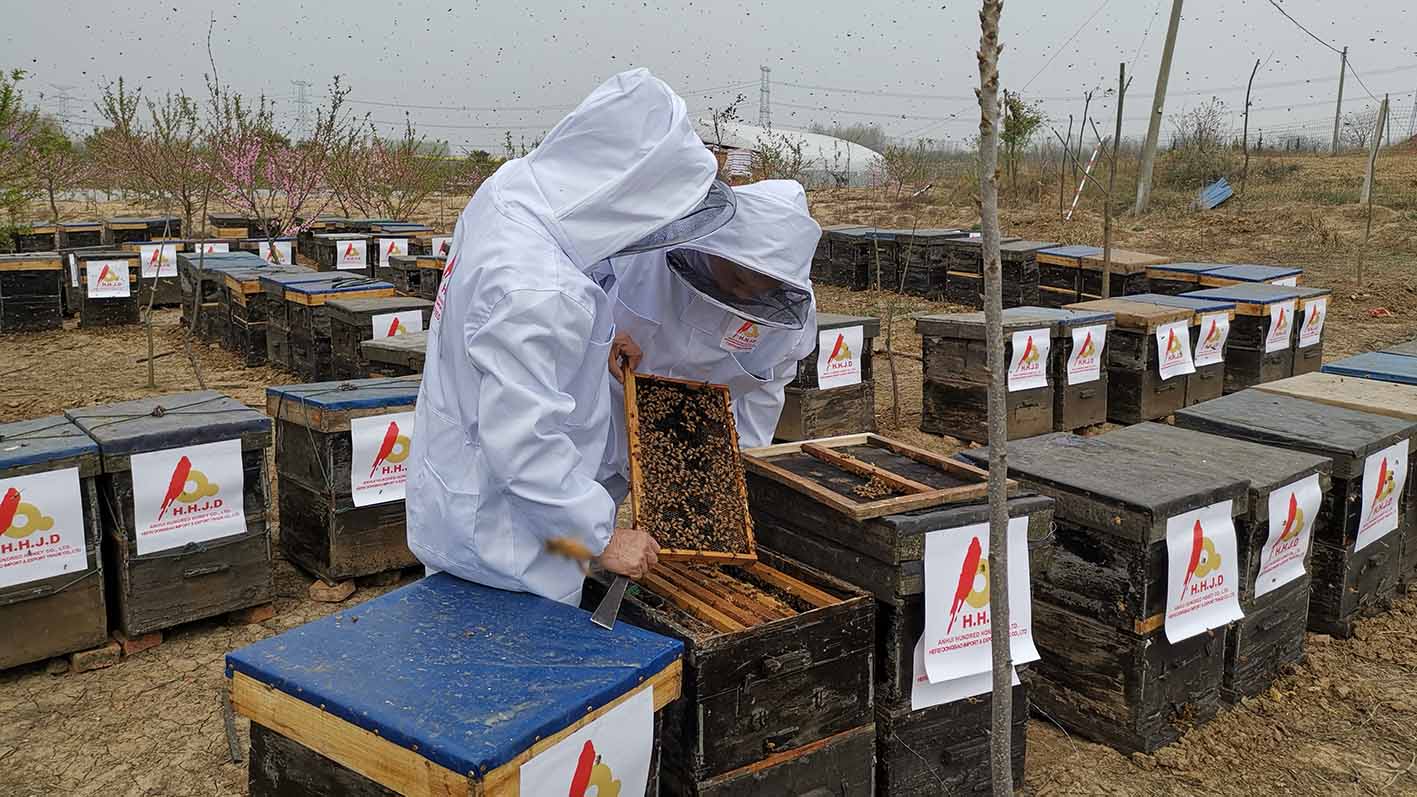 Raw, Pure White Vitex Honey in 290kg and 28kg Drum