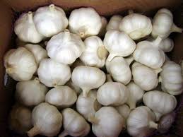 A Grade – Onions, Gingers, Garlics & Coconuts (WholeSale and Retail Business)