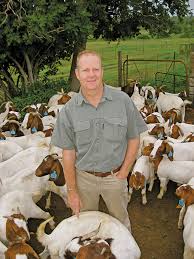 We have Boer Goats , Kalahari Red  Goats ,Ostrich, 