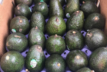 Cameroon Avocados: $6-$8 per 4kg box.