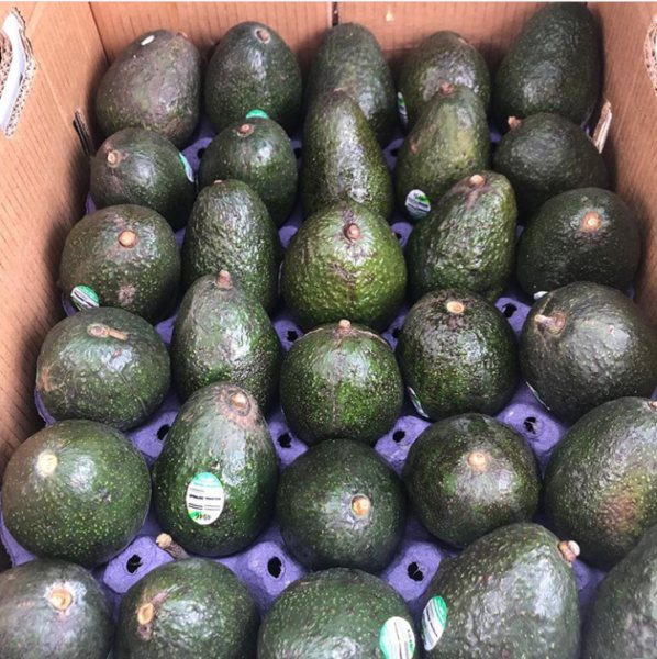 Cameroon Avocados: $6-$8 per 4kg box.