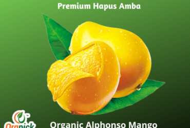 Best Online Organic Alphonso Mangoes|Premium Quality