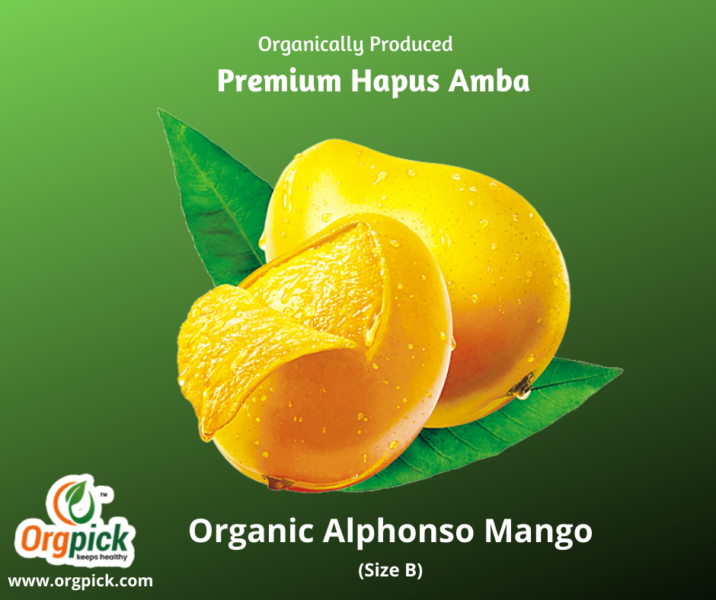 Best Online Organic Alphonso Mangoes|Premium Quality