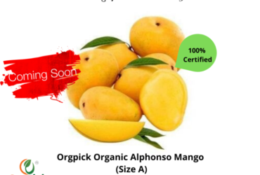 Buy Best Quality Organic Alphonso Mango At Orgpick