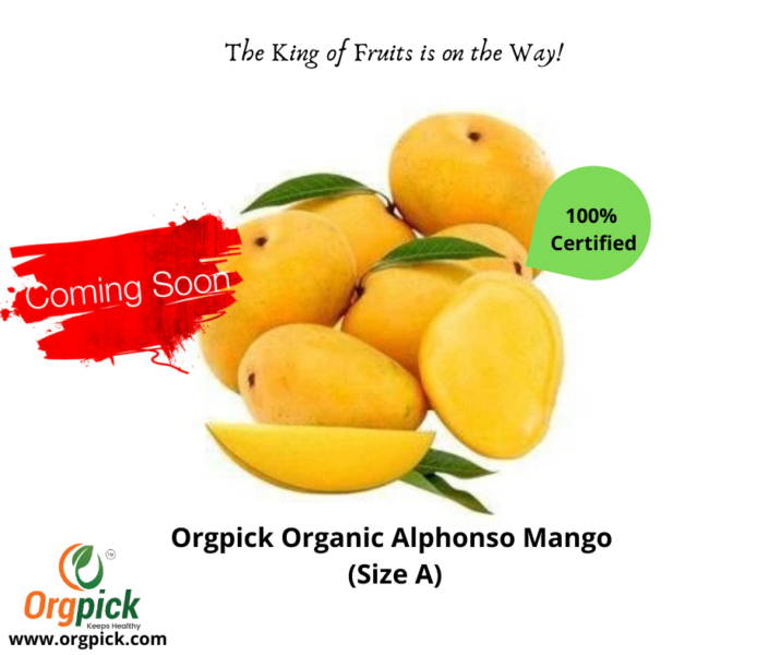 Buy Best Quality Organic Alphonso Mango At Orgpick