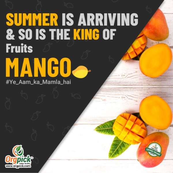 Buy Fresh Organic Mango Online in Mumbai