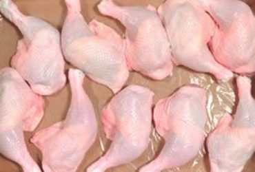 Frozen Chicken Leg for sale whatsapp +27631521991