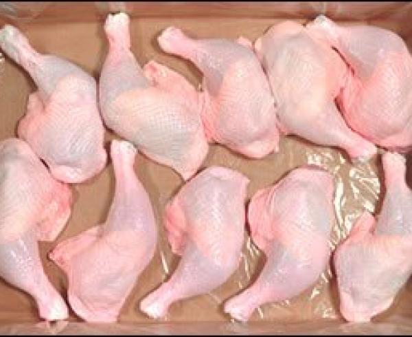 Frozen Chicken Leg for sale whatsapp +27631521991