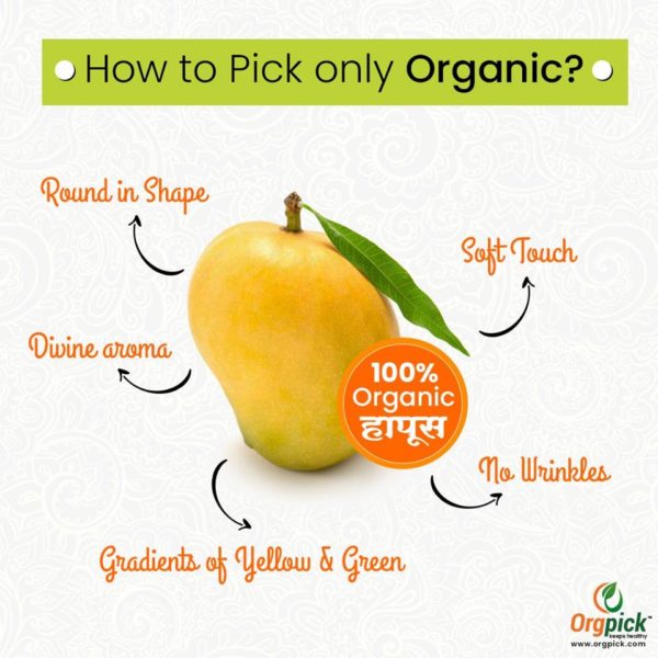 Organic Mango