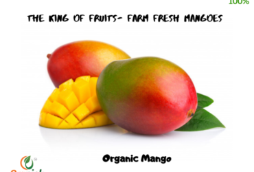 Organic Mangoes Online|Organic Aam
