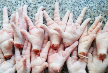 Grade A Chicken Feet for sale whatsapp +27631521991