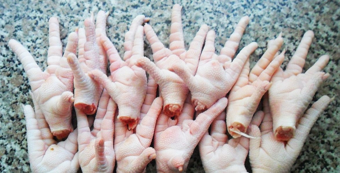 Grade A Chicken Feet for sale whatsapp +27631521991