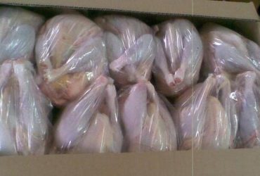 Whole Chicken for sale whatsapp +27631521991