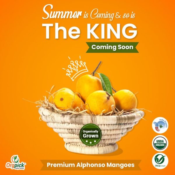 Buy Certified Organic Alphonso Online in Pune