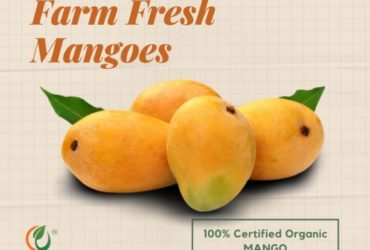 Buy Farm Fresh Mangoes Online