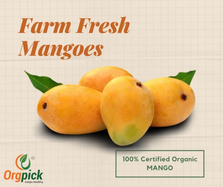 Buy Farm Fresh Mangoes Online