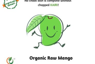 Buy Farm Fresh Organic Raw Mango Kairi Online