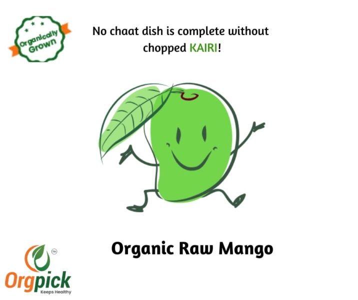Buy Farm Fresh Organic Raw Mango Kairi Online