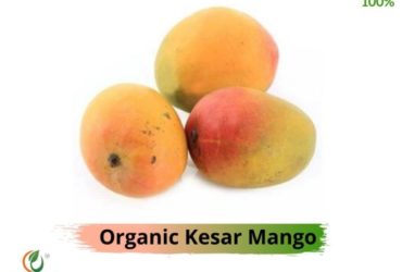 Buy Kesar Amba Online|Organic Kesar Mango