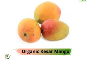 Buy Organic Kesar Mango Online