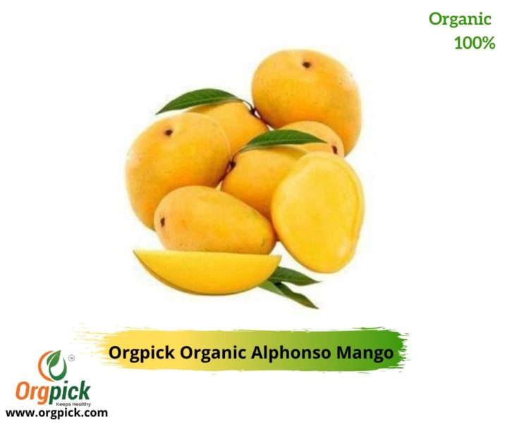 Buy Orgpick's Organic Alphonso Mango Online