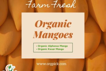 Order Best Organic Mangoes Online|Organic Aam
