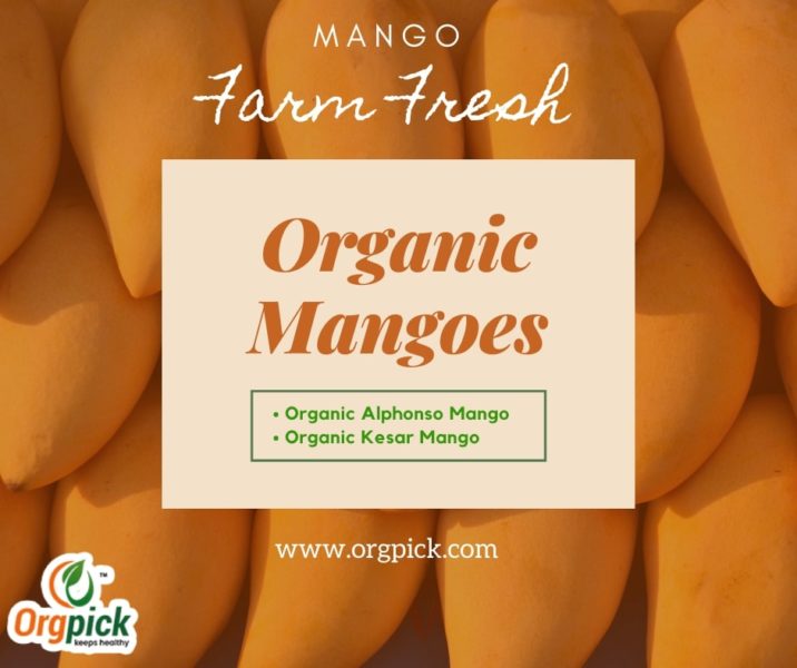 Order Best Organic Mangoes Online|Organic Aam