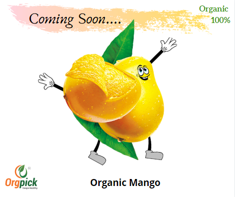Purchase Online Mango|Organic Mangoes