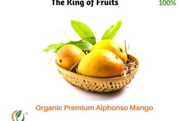 Buy 100% Organic Premium Alphonso Mango in Pune