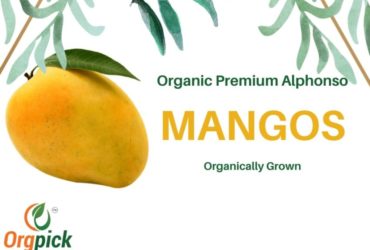 Buy Organic Alphonso Mangoes Online in Pune