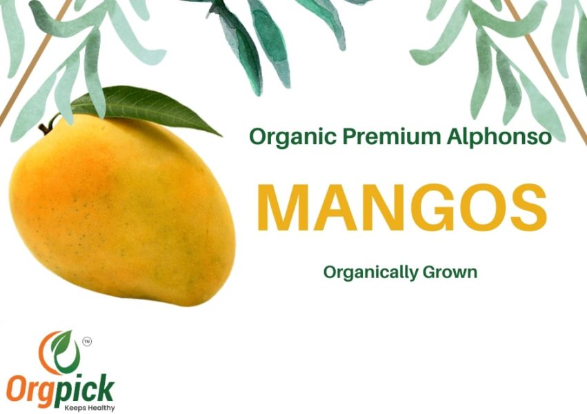 Buy Organic Alphonso Mangoes Online in Pune