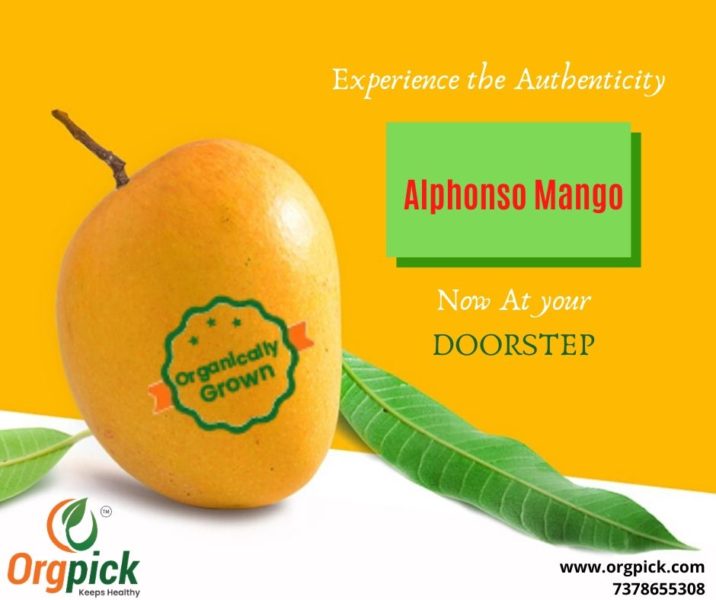 Order Organic Online|Organically Grown Alphonso – National CSA Directory