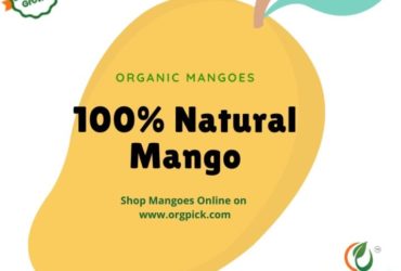 Purchase Online Farm-Fresh Organic Mangoes At Best Price