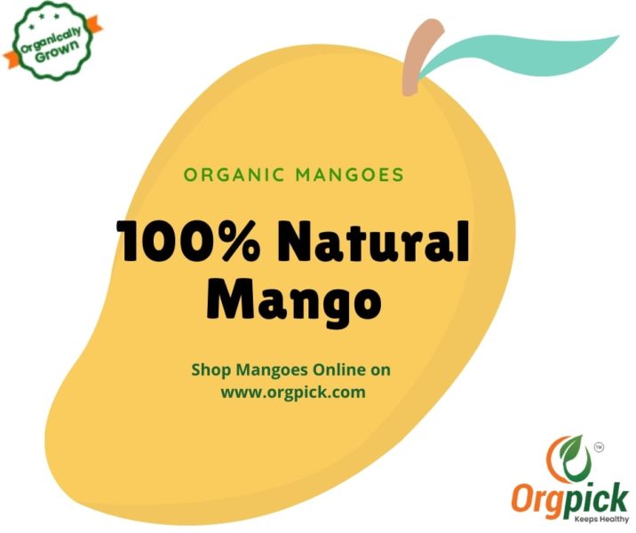 Purchase Online Farm-Fresh Organic Mangoes At Best Price