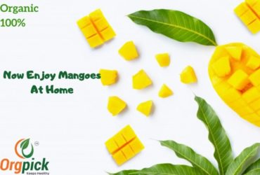 Shop Mangoes Online in Pune