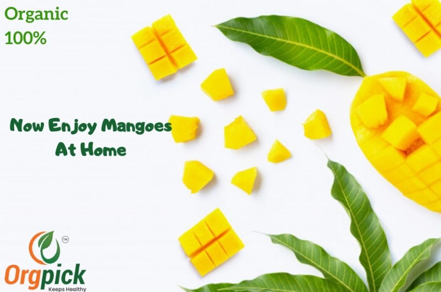 Shop Mangoes Online in Pune