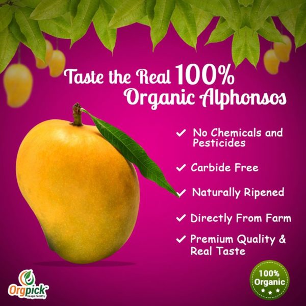 Buy 100% Organic Alphonso Mangoes