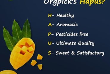 Order Fresh-Organic Alphonso Mango