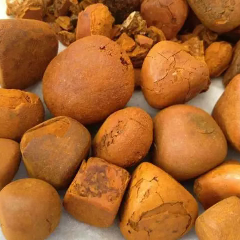 Grade A Cow Ox Gallstone Western Cape