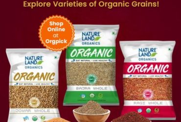 Buy Best Quality Organic Grains & Millet Online