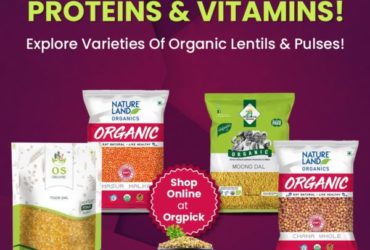 Buy Certified Organic Lentil and Pulses Online