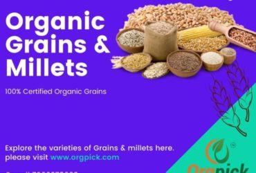 Healthy Organic Grains and Organic Millets Online