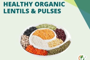 Healthy Organic Lentils and Organic Pulses Online in India