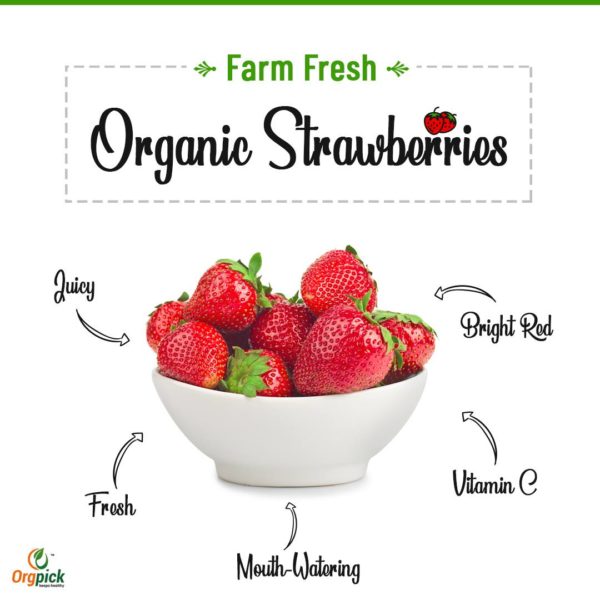 Shop Now Organic Strawberry Online At Orgpick