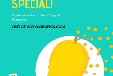 Buy Organic Mangoes Online