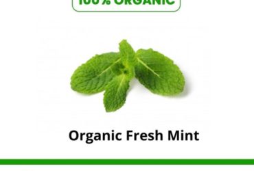 Shop Organic fresh mint online